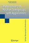 Perturbations of Positive Semigroups with Applications (Springer Monographs in Mathematics) By Jacek Banasiak, Luisa Arlotti Cover Image