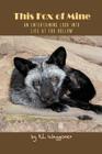 This Fox of Mine: An Entertaining Look into Life at Fox Hollow By K. L. Waggoner Cover Image