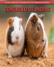 Conejillo de indias: Datos e imágenes increíbles de los Conejillo de indias Cover Image