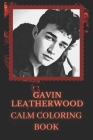 Calm Coloring Book: Designs inspired By Gavin Leatherwood By Lorena Brooks Cover Image
