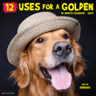 12 Uses for a Golden 2024 12 X 12 Wall Calendar By Willow Creek Press Cover Image