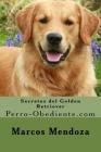 Secretos del Golden Retriever: Perro-Obediente.com By Marcos Mendoza Cover Image