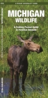 Michigan Wildlife: A Folding Pocket Guide to Familiar Animals (Pocket Naturalist Guide) Cover Image