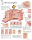 Understanding Skin Chart: Wall Chart By Scientific Publishing (Other) Cover Image