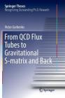 From QCD Flux Tubes to Gravitational S-Matrix and Back (Springer Theses) By Victor Gorbenko Cover Image