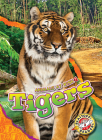 Tigers (Animals at Risk) Cover Image