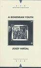 A Bohemian Youth (Writings From An Unbound Europe) By Josef Hirsal, Michael Henry Heim (Translated by) Cover Image