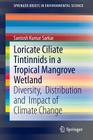 Loricate Ciliate Tintinnids in a Tropical Mangrove Wetland: Diversity, Distribution and Impact of Climate Change (Springerbriefs in Environmental Science) By Santosh Kumar Sarkar Cover Image