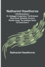 Nathaniel Hawthorne; Little Masterpieces; Dr. Heidegger's Experiment, The Birthmark, Ethan Brand, Wakefield, Drowne's Wooden Image, The Ambitious Gues By Nathaniel Hawthorne Cover Image