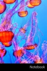 Notebook: Qualle, Bunte, Meer, Ozean Notizbuch / persönliches Tagebuch / Schreibheft / Logbuch / Planer / Vokabelheft / Notizen By Notizbuch A5 Liniert Geschenkideen Cover Image