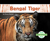 Bengal Tiger (Asian Animals) By Grace Hansen Cover Image