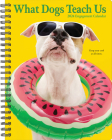 What Dogs Teach Us 2024 6.5 X 8.5 Engagement Calendar By Willow Creek Press Cover Image