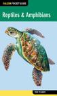 Reptiles & Amphibians (Falcon Pocket Guides) Cover Image