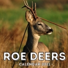 Roe Deers Calendar 2021: 16-Month Calendar, Cute Gift Idea For Deer Lovers Women & Men Cover Image