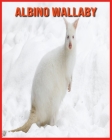Albino Wallaby: Amazing Facts about Albino Wallaby By Matilde Sopher Cover Image