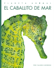 El Caballito de Mar (Planeta Animal) By Valerie Bodden Cover Image
