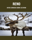 Reno: Datos curiosos sobre los Reno By Lucy Maisto Cover Image