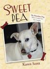 Sweet Pea: The Homeless Dog Who Could Not Be Caught Cover Image