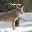 Coyotes 8.5 X 8.5 Calendar September 2021 -December 2022: Monthly Calendar with U.S./UK/ Canadian/Christian/Jewish/Muslim Holidays-Fox Animal Nature Cover Image