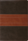 Study Bible-ESV-Trail Design By Crossway Bibles (Manufactured by) Cover Image