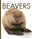 Beavers (Amazing Animals) By Kate Riggs Cover Image