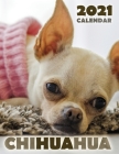 Chihuahua 2021 Calendar Cover Image