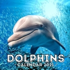 Dolphins: 2021 Calendar, Cute Gift Idea For Dolphin Lovers Men And Women By Brave Jelly Press Cover Image