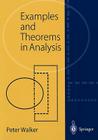 Examples and Theorums in Analysis By Peter Walker Cover Image