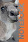Notebook: Marsupial Professional Composition Book for Grey Kangaroo Lovers Cover Image