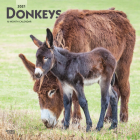 Donkeys 2021 Square Cover Image