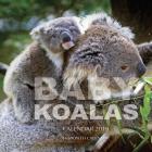 Baby Koalas Calendar 2019: 16 Month Calendar By Mason Landon Cover Image