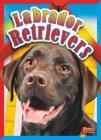 Labrador Retrievers (Doggie Data) Cover Image