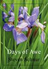 Days of Awe Cover Image