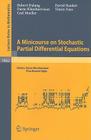 A Minicourse on Stochastic Partial Differential Equations (Lecture Notes in Mathematics #1962) Cover Image