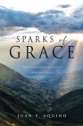 Sparks of Grace: God transforms the world with His grace By Juan P. Aquino Cover Image