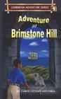 Adventure at Brimstone Hill: Caribbean Adventure Series Book 1 By Carol Ottley-Mitchell, Ann-Cathrine Loo (Illustrator) Cover Image