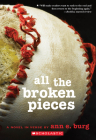 All the Broken Pieces By Ann E. Burg Cover Image