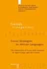 Focus Strategies in African Languages: The Interaction of Focus and Grammar in Niger-Congo and Afro-Asiatic (Trends in Linguistics. Studies and Monographs [Tilsm] #191) Cover Image