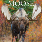 Moose 2022 Wall Calendar Cover Image