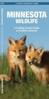 Minnesota Wildlife: A Folding Pocket Guide to Familiar Species (Pocket Naturalist Guide) By James Kavanagh, Waterford Press, Raymond Leung (Illustrator) Cover Image