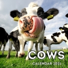 Cows Calendar 2021: 16-Month Calendar, Cute Gift Idea For Cow Lovers Women & Men Cover Image