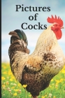 Pictures of Cocks: Funny White Elephant, Yankee Swap, Secret Santa Gift, (Stupid Gifts Ideas) Cover Image