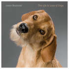 The Life & Love of Dogs By Lewis Blackwell Cover Image