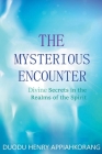 The Mysterious Encounter Cover Image