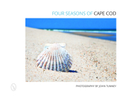 Four Seasons of Cape Cod Cover Image