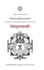 Trikamukhyamatāni: Principios Fundamentales del Shaivismo Trika By Gabriel Pradiipaka Cover Image