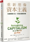 Reimagining Capitalism in a World on Fire By Rebecca Henderson Cover Image
