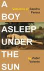 A Boy Asleep Under the Sun: Versions of Sandro Penna By Peter Valente Cover Image