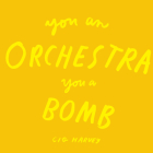 You an Orchestra You a Bomb By Cig Harvey Cover Image