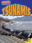 Tsunamis By Marne Ventura, Heather Kissock (With) Cover Image